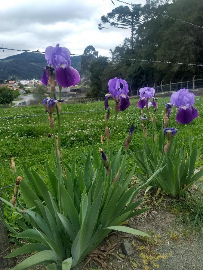 Chales Manaca Da Serra Урубиси Екстериор снимка